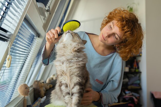 Cat mom brushes her furry pet