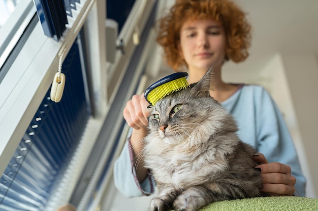 Cat mom brushes her furry pet