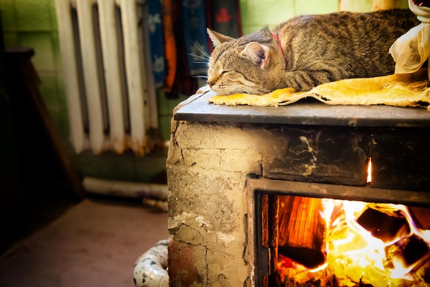 Cat sleeping on stove fireplace