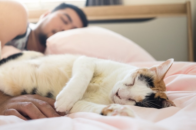 A cat wakes up annoyed by the human hand