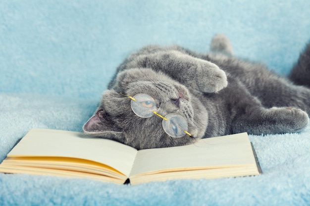 Cat wearing glasses lying on the back on a book