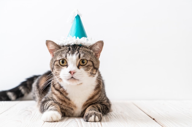 cat with party hat