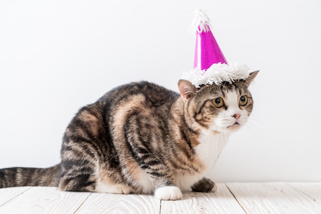 cat with party hat