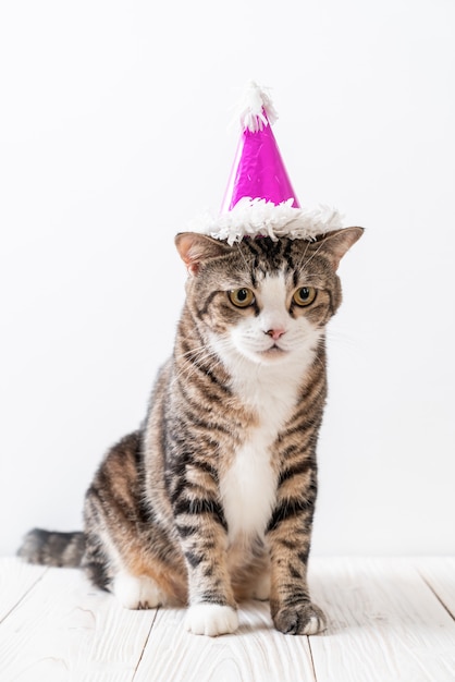 cat with party hat