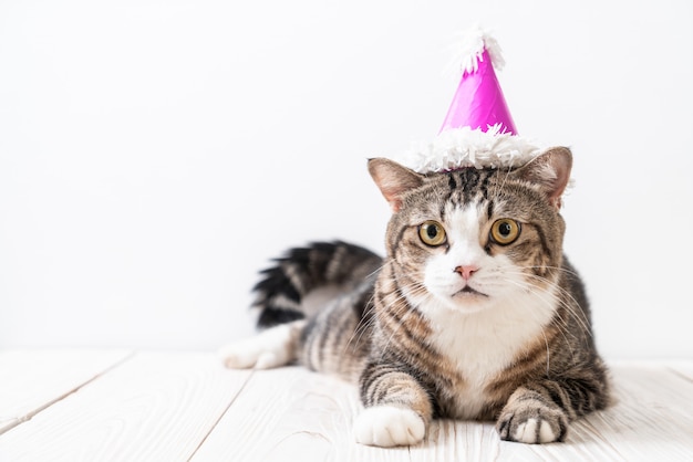 cat with party hat