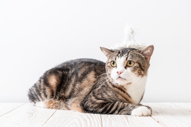 cat with party hat