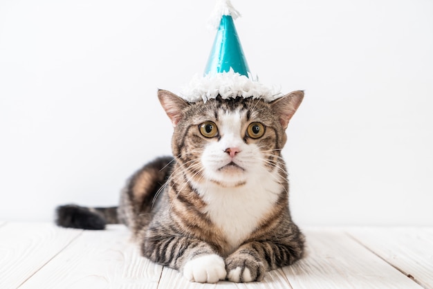 cat with party hat