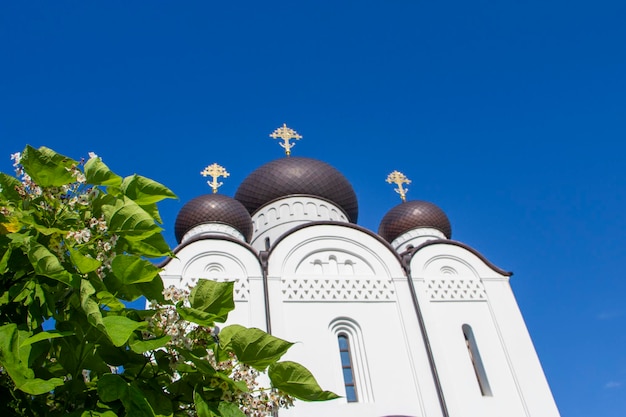 Catalpa branch on the background of the dome of the church and the blue cloudless sky