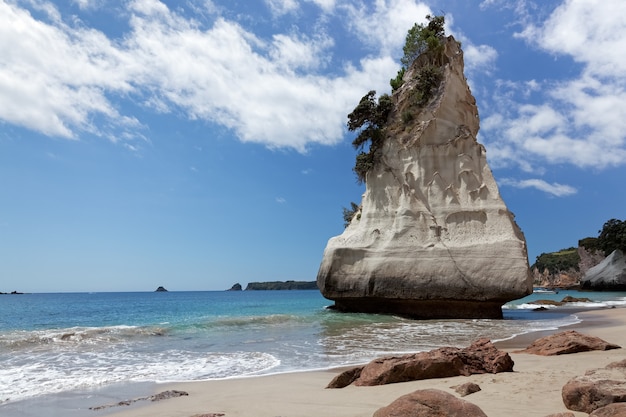 Cathedral Cove Coromandel Peninsula