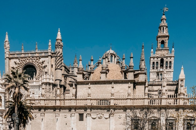 Cathedral and giralda of Seville on sunny day