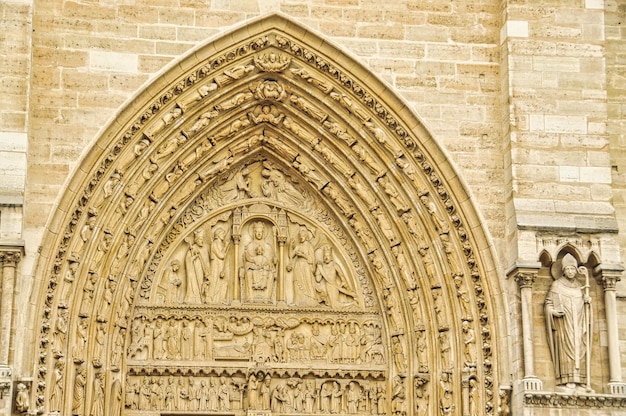 Cathedral notre dame in Paris