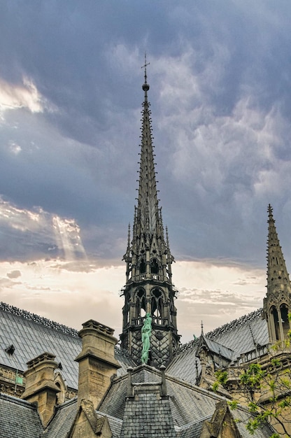 Cathedral notre dame in Paris