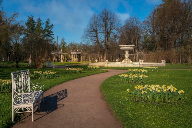 Photo catherine park and marble fountain in tsarskoye selo on a spring day pushkin saint petersburg russia