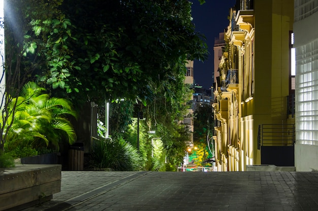 Catheter palace gardens in rio de janeiro