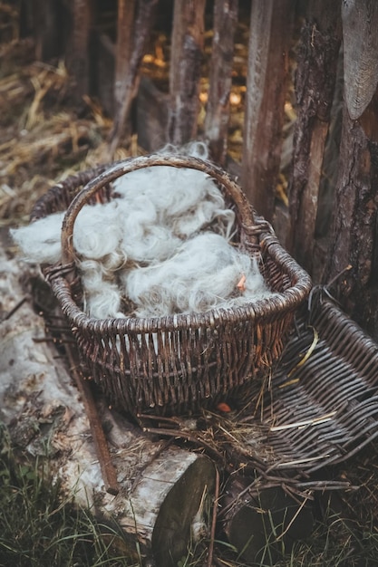 Cattle farming sheep wool natural household