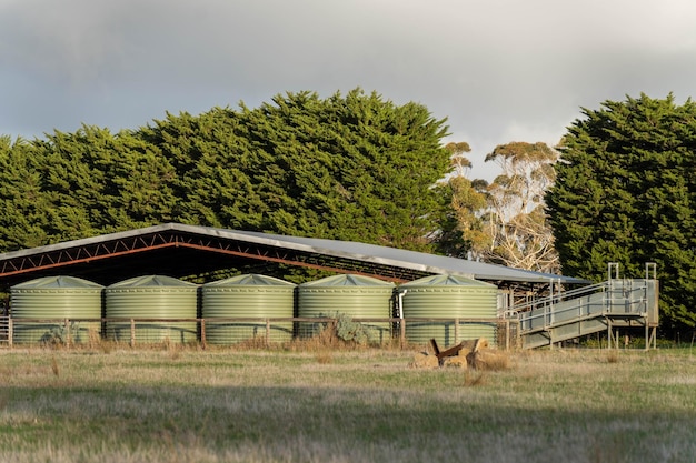 Photo cattle yards on farm with a roof with plastic water tanks around them in australia