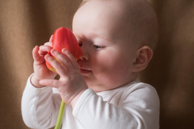 Caucasian baby girl playing with a flower on a brown background