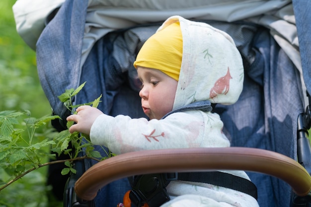 Caucasian baby girl sitting in a stroller looking on green leaves