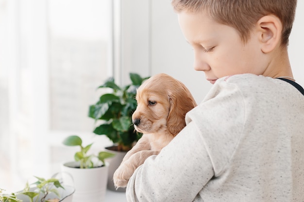 Caucasian boy holding english cocker spaniel puppy