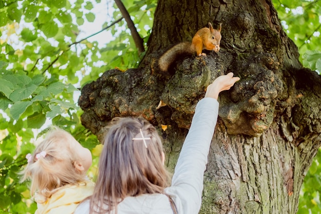 Caucasian child girl with mom feed a squirrel on a tree.