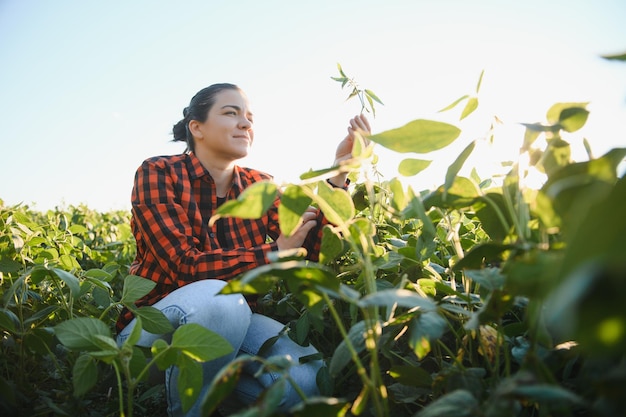 Caucasian female farm worker inspecting soy at field summer evening time somewhere in Ukraine