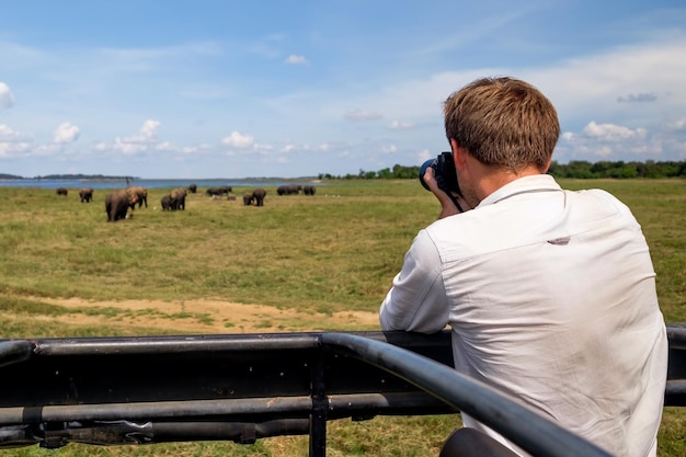 Caucasian man in white shirt making photos of elephant herd during safari in national park of Sri Lanka