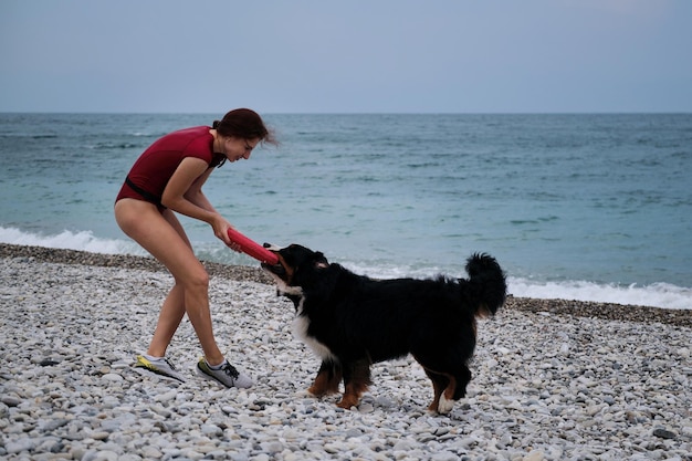 Caucasian pretty red haired woman in sneakers and Bernese mountain dog with red toy ring