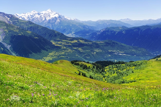 Caucasus mountains