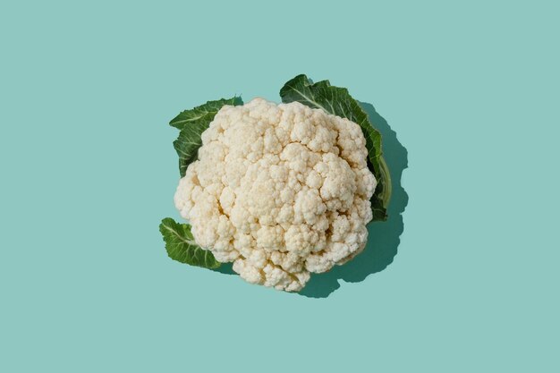 Photo cauliflower on pastel sky blue background