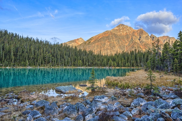 Cavell Edith Lake Canadian Rockis Alberta Canada