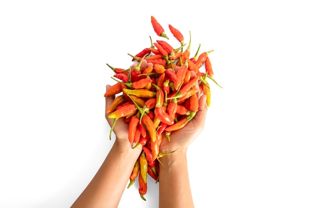 Cayenne pepper isolated on a white background