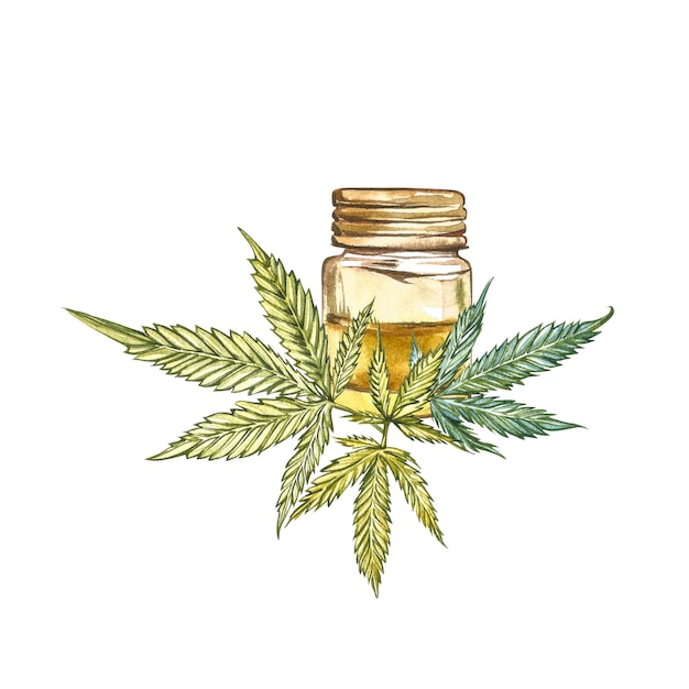 CBD oil hemp products. Watercolor illustration on white 