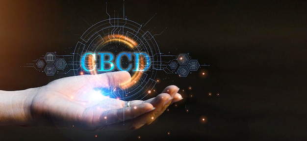 A CBDC in simple terms is a digital currency issued by a country central bank It can legally be used as a settlement just like fiat currency or regular paper money