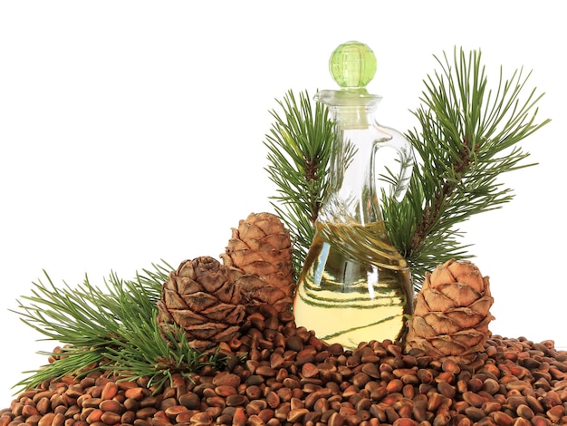 Cedar cones, nuts and cedar nut oil in a transparent bottle isolated on white background