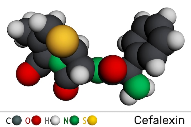 Cefalexin cephalexin molecule It is a betalactam antibiotic Molecular model 3D rendering