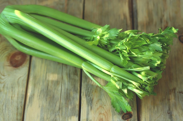 Celery Fresh stalks and leaves of celery