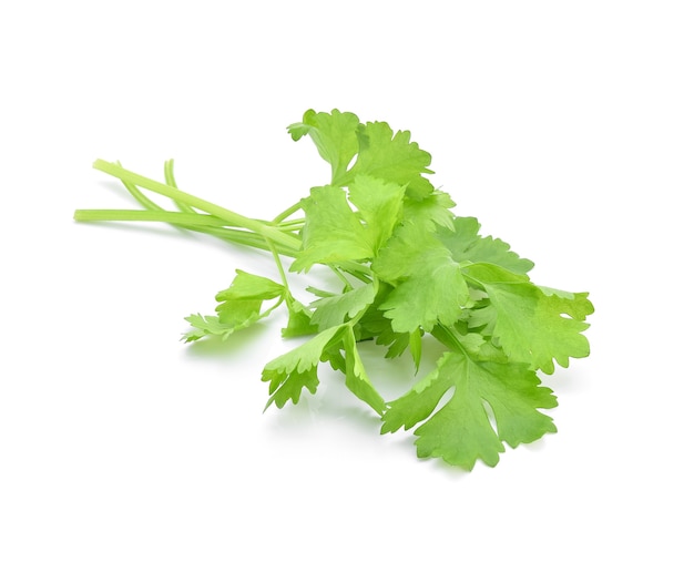 Celery isolated on white background