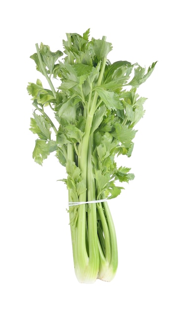 Celery isolated on white background