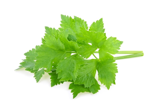 Celery isolated