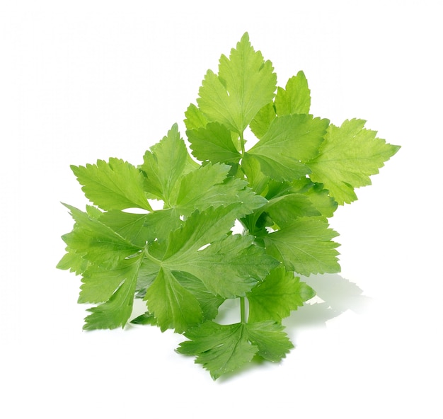 Celery isolated