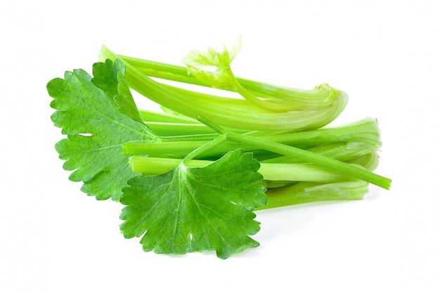 Celery on white isolated