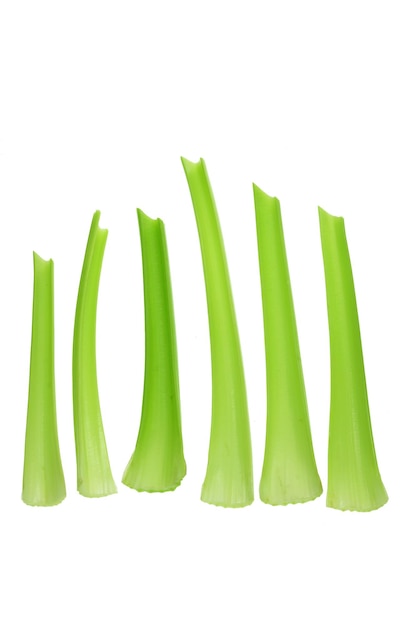 Celery