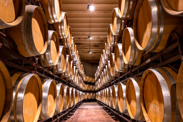 Cellar with barrels for storage of wine Spain Wine concept