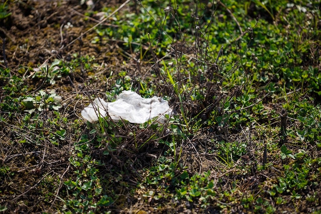 Cellophane bag tangled in green leaves. Environmental pollution. Plastic in nature