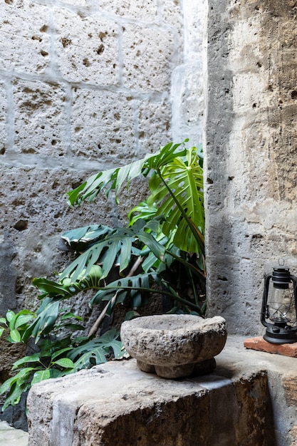 Cement mortar decorated with monstera plants