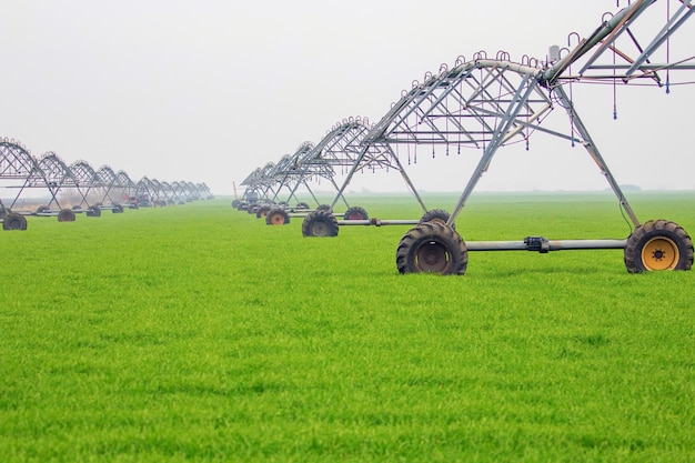 Center Pivot Irrigation System in field Agriculture Concept