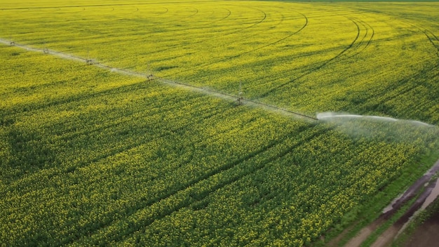 Center pivot irrigation system on a yellow rapeseed field aerial view