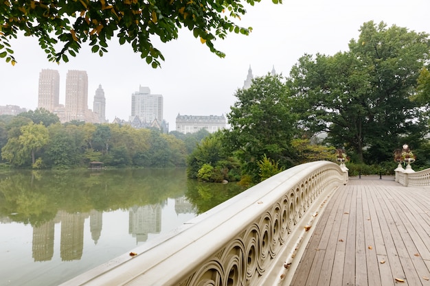 Central park in NYC