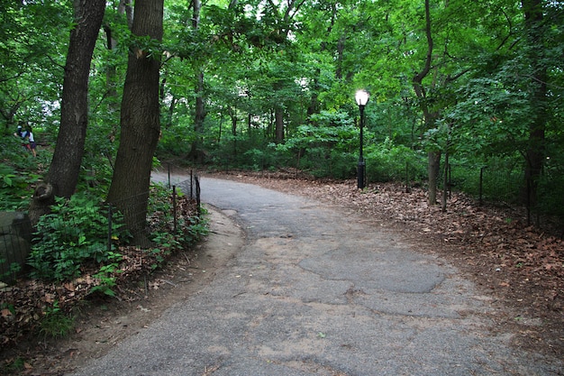 Central Park, an urban park in Manhattan, New York City