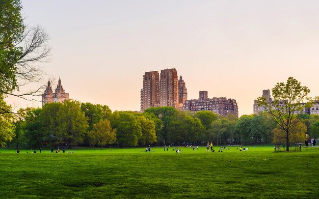 Central park West New York, great design for any purposes. Midtown Manhattan, USA. View with Skyline of Skyscrapers architecture in NYC. Nature background. Urban cityscape. NY, US